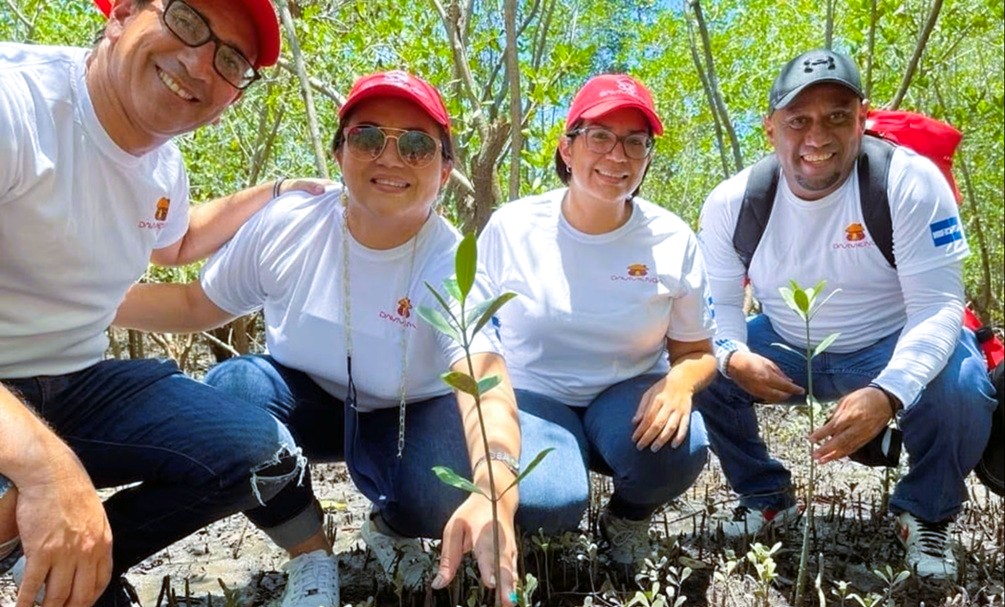 Davivienda impulsa Manglares con innovadores Seguros Verdes